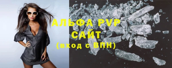 шишки Абаза