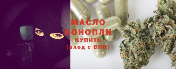 шишки Абаза