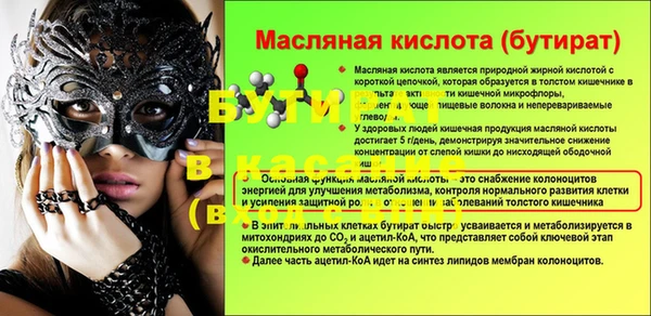 шишки Абаза