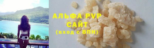 шишки Абаза