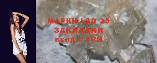 шишки Абаза