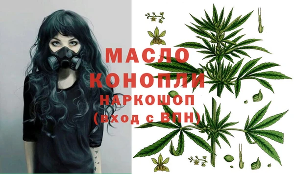 шишки Абаза