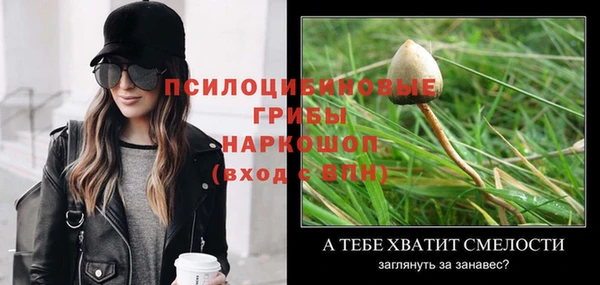 сатива Абдулино