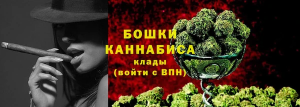 шишки Абаза