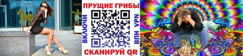 Псилоцибиновые грибы Magic Shrooms  Нижнекамск 